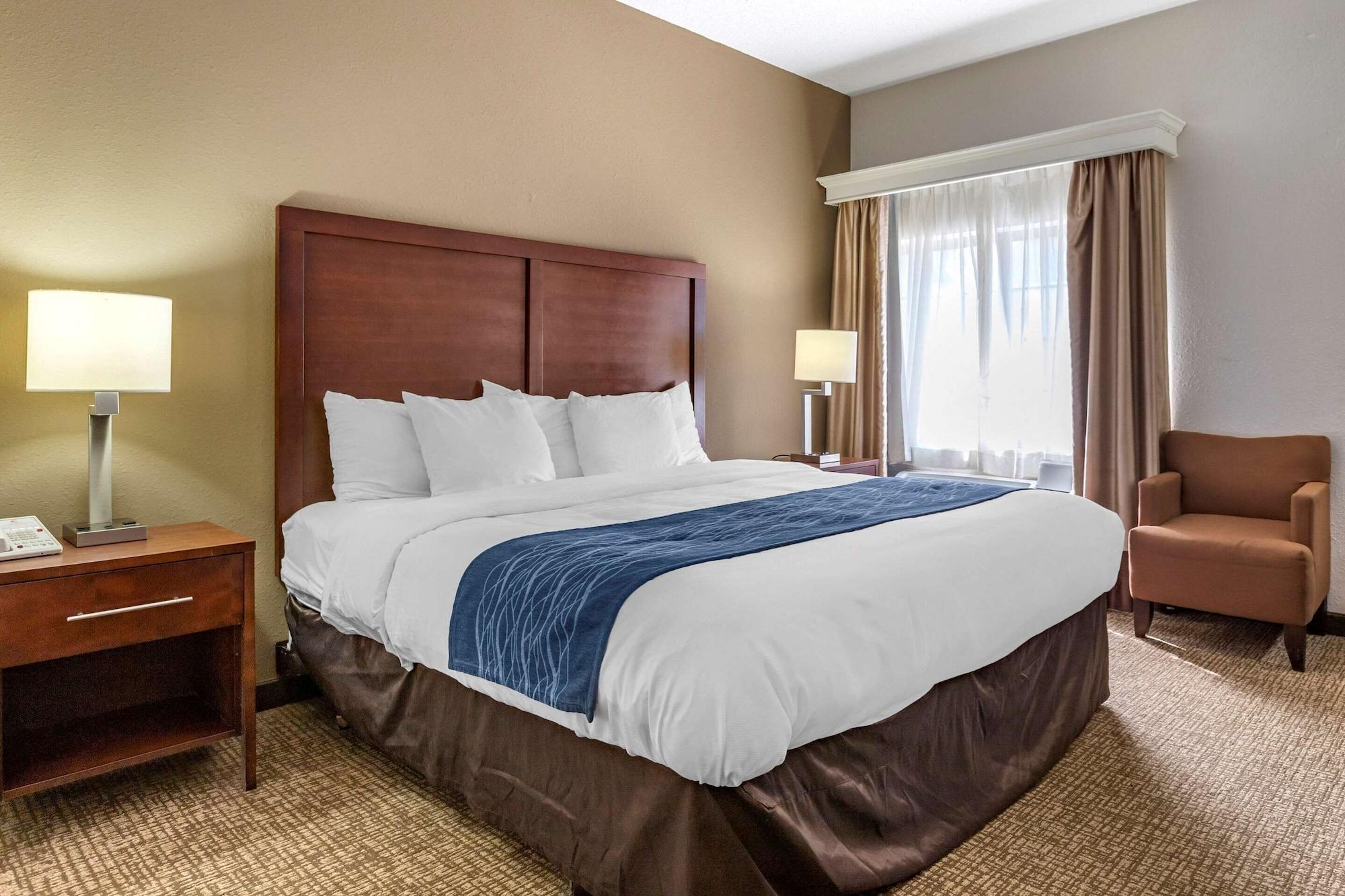 Comfort Inn Downtown - University Area Kalamazoo Extérieur photo