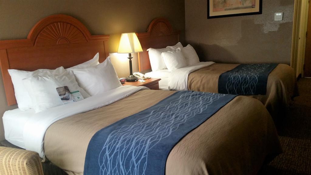 Comfort Inn Downtown - University Area Kalamazoo Extérieur photo